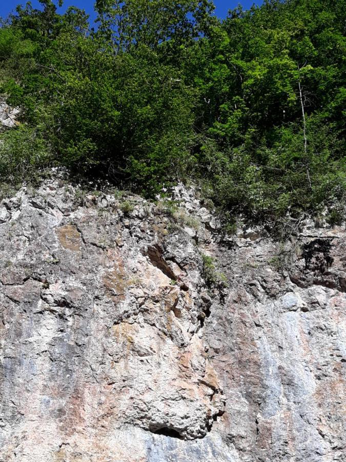 ホテル Timi Kulcsoshaz Lăzarea エクステリア 写真